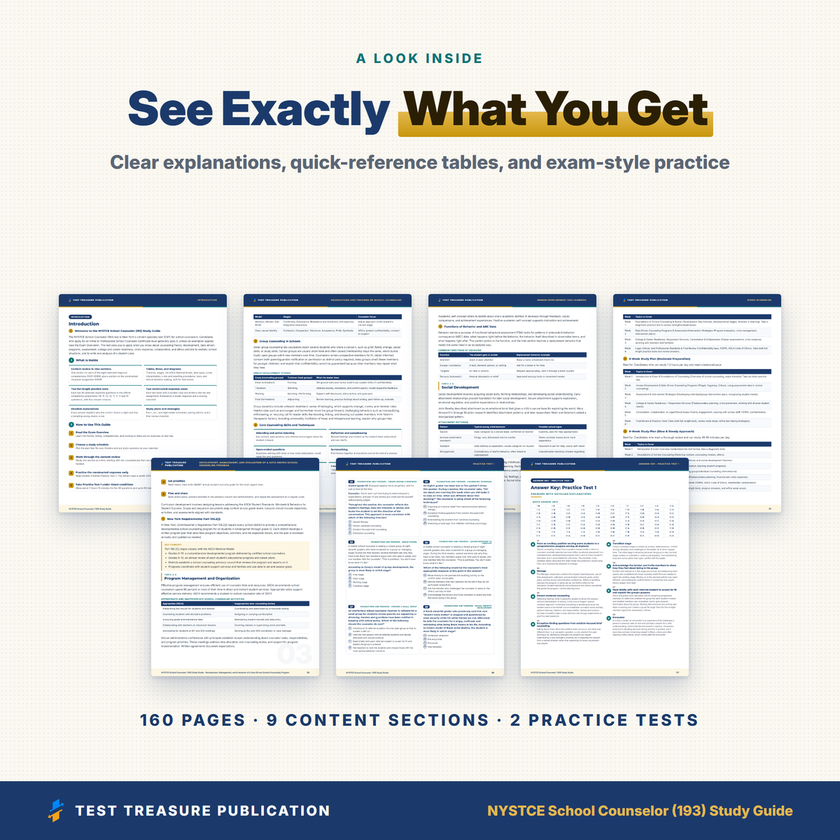 NYSTCE School Counselor (193) Study Guide 2026–2027 | New York School Counselor CST Exam Prep + Practice Tests