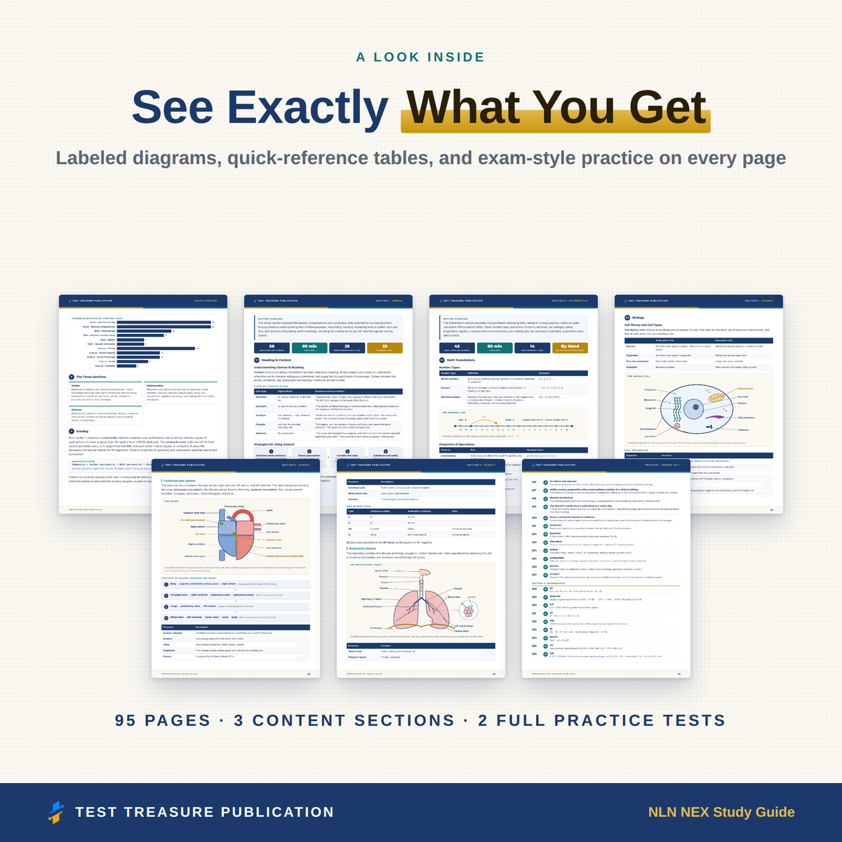 NLN NEX Study Guide 2026-2027 | Nursing Entrance Exam Prep for RN & LPN Applicants | 200 Practice Questions & Answers | Printable PDF