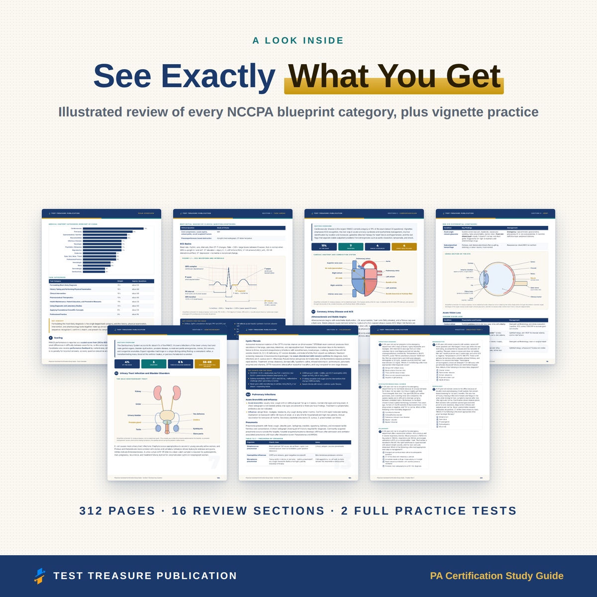 Physician Assistant Certification Study Guide 2026-2027 for the PANCE Exam, PA Board Review, 200 Practice Questions, Printable PDF