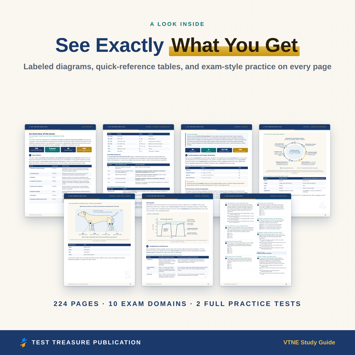 VTNE Study Guide 2026–2027 — Redesigned Illustrated Edition | 200 Practice Questions