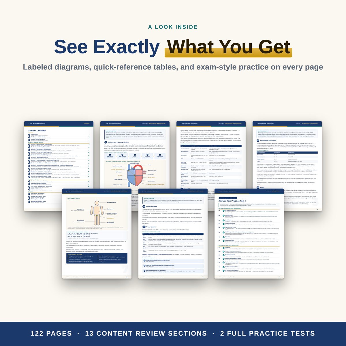 CEN Study Guide 2026–2027 — Redesigned Illustrated Edition | 200 Practice Questions