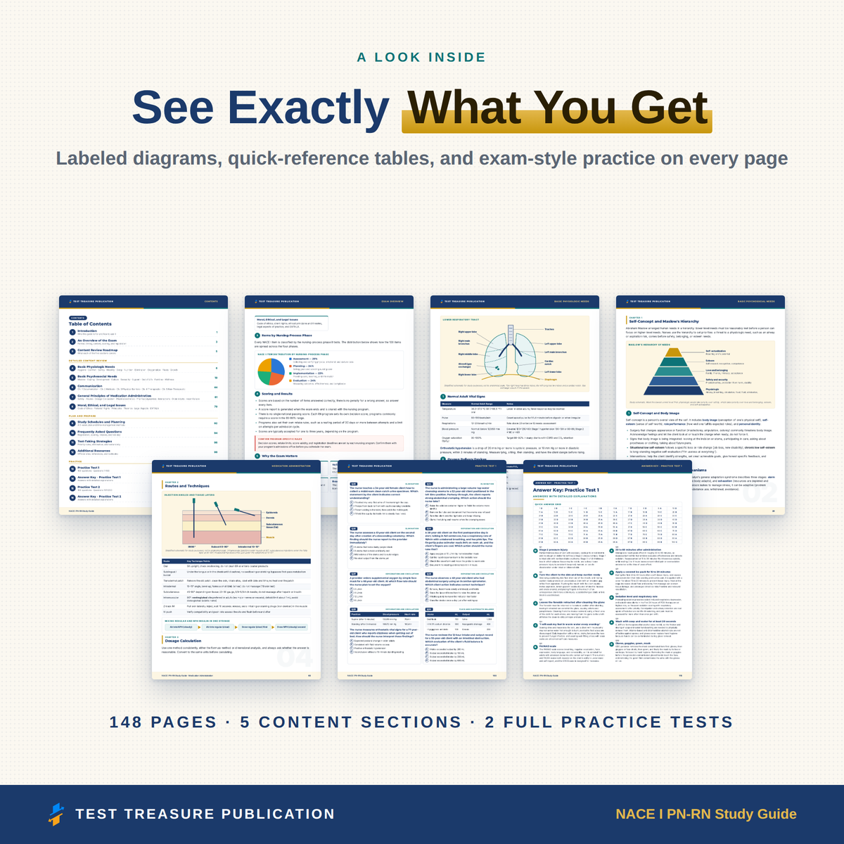 NACE I PN-RN Study Guide 2026–2027 | LPN to RN Prep & 200 Practice Questions