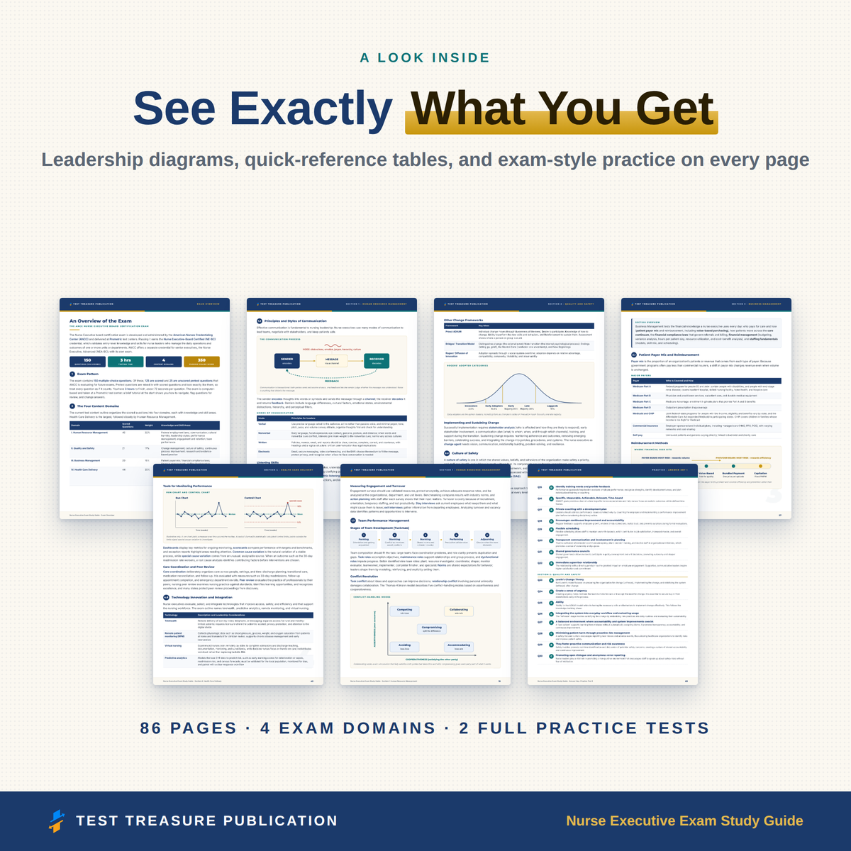Nurse Executive NE-BC Study Guide 2026–2027 — Redesigned Illustrated Edition | 200 Practice Questions