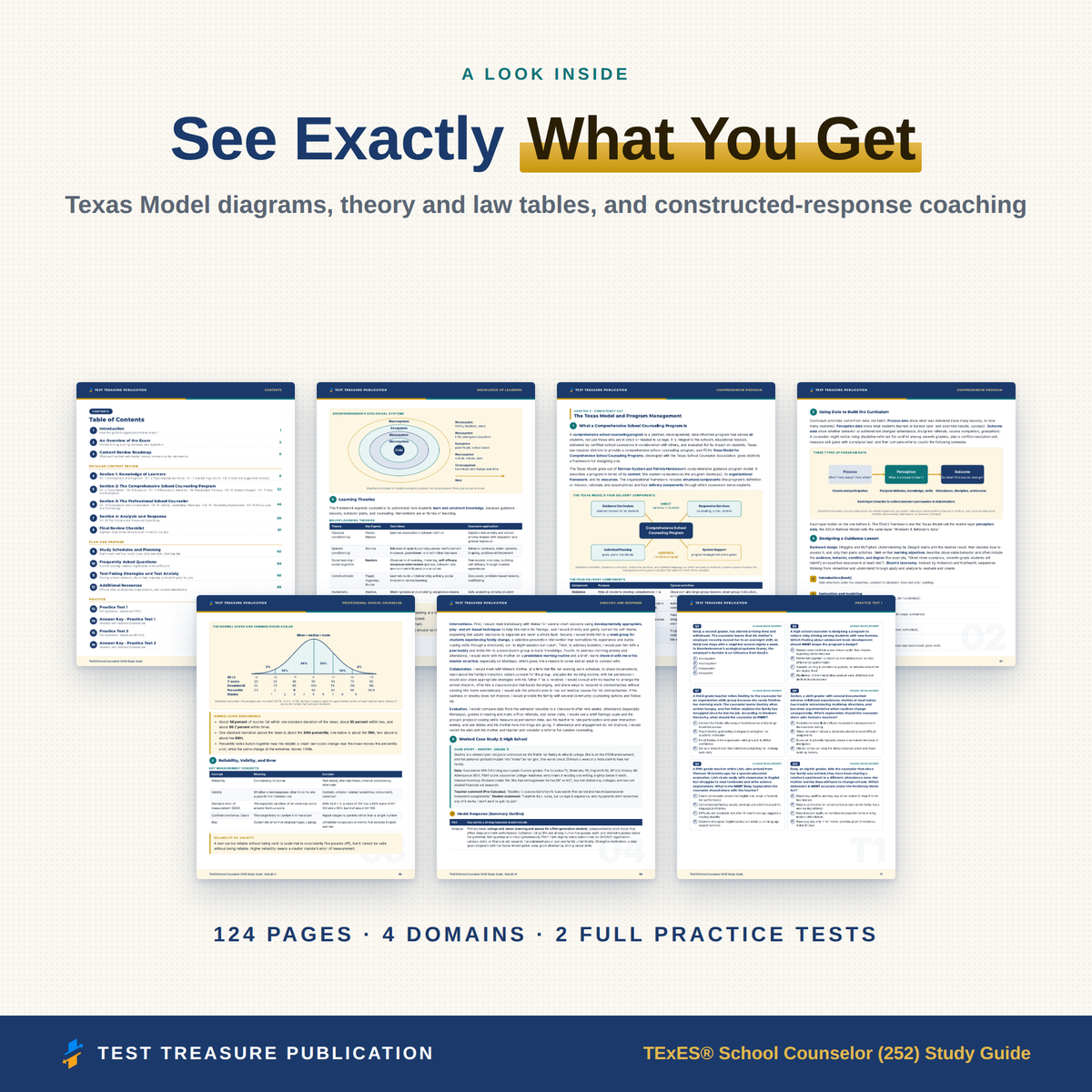 TExES School Counselor 252 Study Guide 2026–2027 | 200 Practice Questions