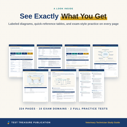 Veterinary Technician Study Guide for the VTNE Exam 2026-2027, Vet Tech Board Review, 200 Practice Questions, Printable PDF